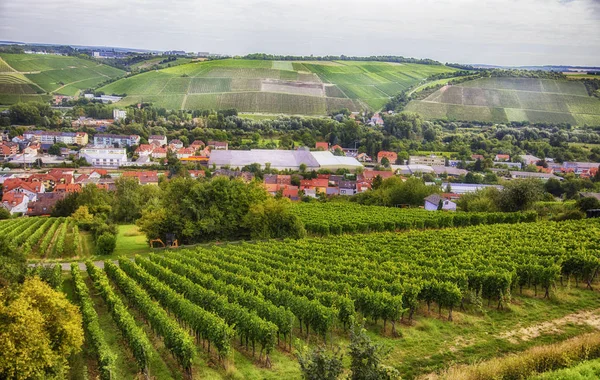 Paisaje estacional de Wurzburg, Baviera —  Fotos de Stock