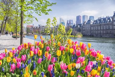 Lahey tarihi merkezi şehirde bahar