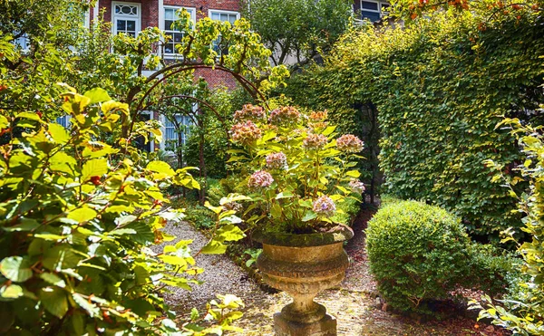 Patio de la ciudad vieja, jardín de la casa holandés — Foto de Stock