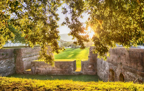 Středověké pevnosti stěny v Lucca, Itálie — Stock fotografie