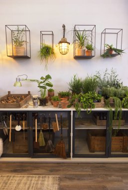 ev Teras Bahçe alanı 