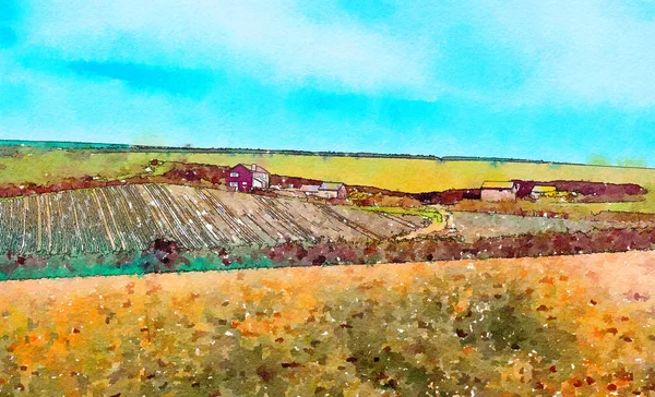 Sommerlandschaft in Maismauer, Großbritannien — Stockfoto