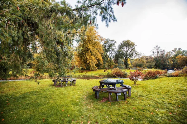 Осенний парк рядом с Бларни, Корк, Ирландия — стоковое фото