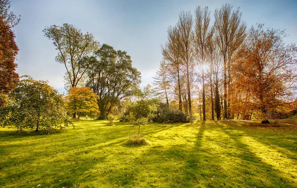 Осенний парк рядом с Бларни, Корк, Ирландия — стоковое фото