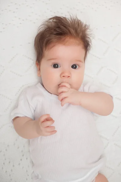 3 months old lovely baby portrait — Stock Photo, Image