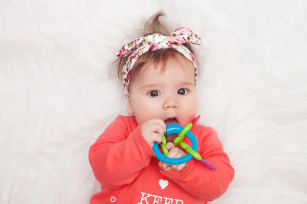 5 meses de idade lindo bebê retrato no branco com brinquedo teether — Fotografia de Stock