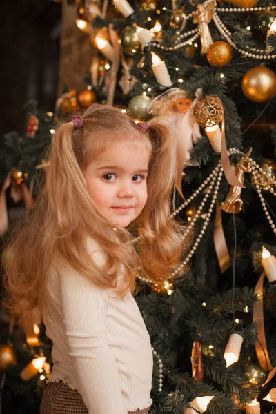 Χαριτωμένο Κοριτσάκι Μεγάλο Χριστουγεννιάτικο Δώρο — Φωτογραφία Αρχείου