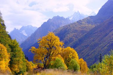 Ekim ayında Dombay, Caucasus altın sonbaharda peyzaj