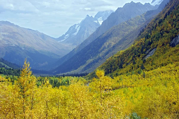 山の中の黄金色の秋の色 ロイヤリティフリーのストック画像