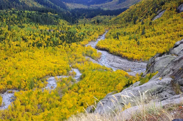 Landschaft des goldenen Herbstes im Oktober in Dombay, Kaukasus Stockbild