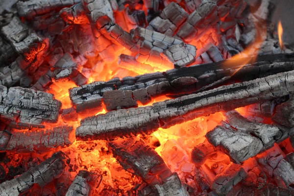 Brennholz im Hintergrund — Stockfoto