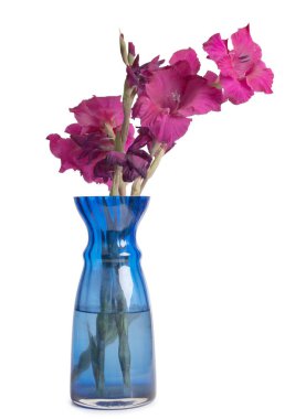 Cam vazodaki çiçekler