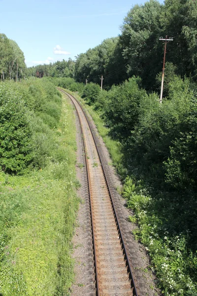 Ferroviária na floresta — Fotografia de Stock