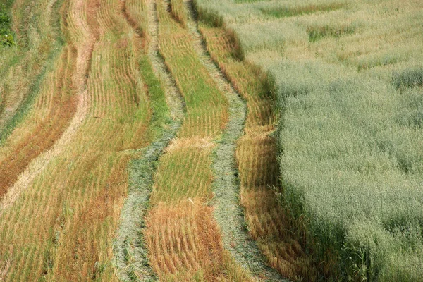 Route dans le pays trois — Photo