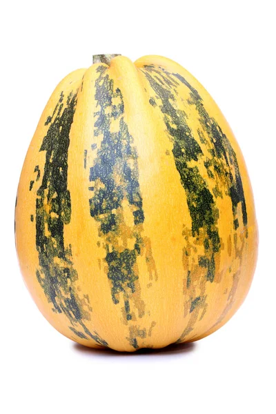 Zucca gialla uno — Foto Stock