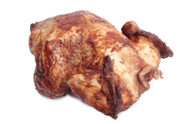 Pollo sobre blanco — Foto de Stock