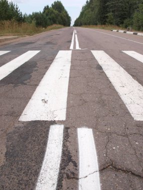    Kırsal alanda orman ve otobüs durağı üzerinde yol