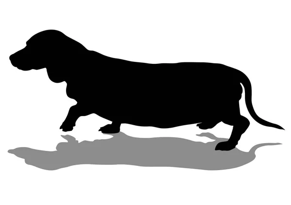 Домашняя Собака Прогулке Белом Фоне — стоковый вектор