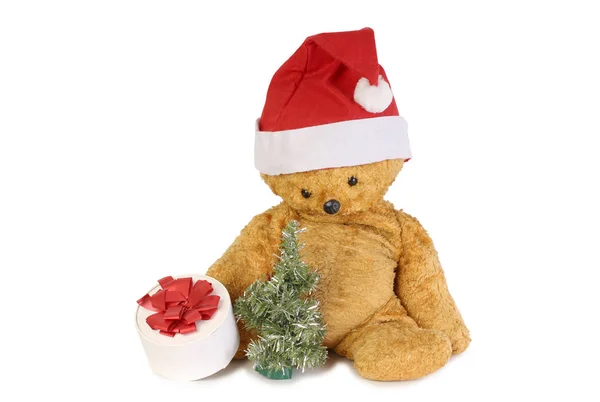 Медвежонок Рождественской Шляпе Белом Фоне — стоковое фото