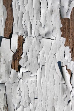 Kabuğu soyulmuş eski ahşap bir yüzey. Soyut grunge arkaplanı