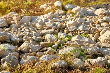 Kayaların arasında büyüyen kayaların ve otların olduğu bir çöl bölgesi.