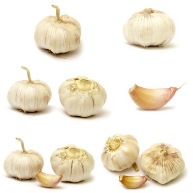 Beyaz arka plan üzerinde izole sarımsak koleksiyonları