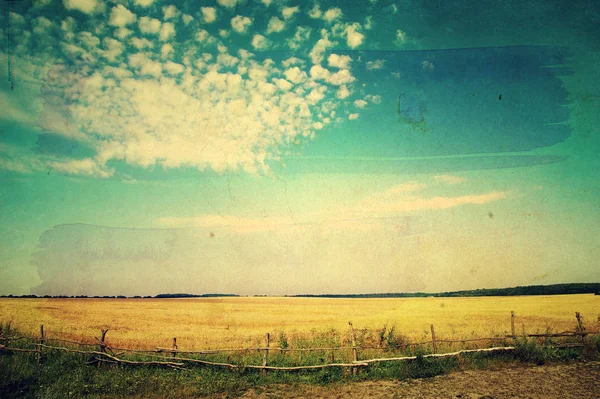 Campo Grano Dorato Cielo Azzurro — Foto Stock