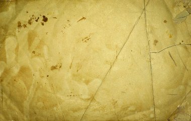 Eski kağıt dokusu arkaplan olarak kullanılabilir