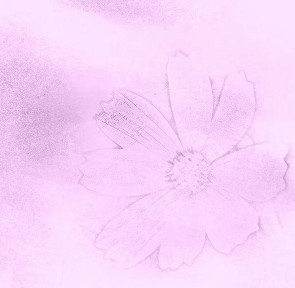Abstract Background Flower Sketch — Stock Photo, Image