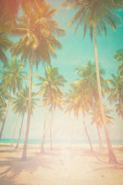 Resim tarz Hindistan cevizi ağacı üzerinde gökyüzü arka plan-- retro