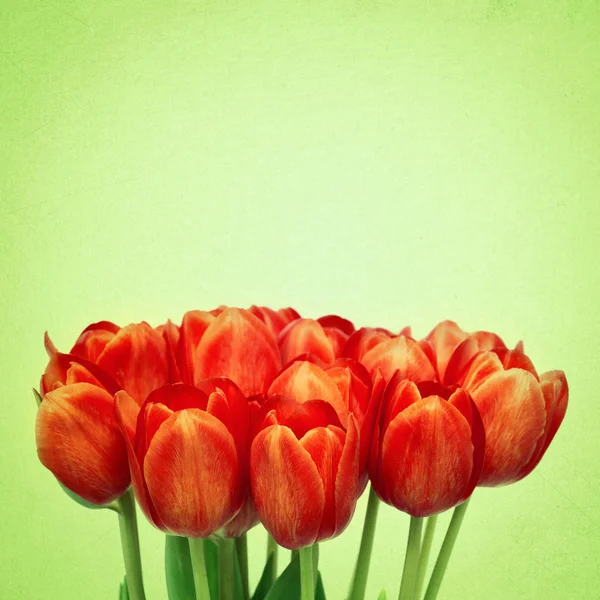 Bouquet Tulips Flowers Retro Background — Stock Photo, Image