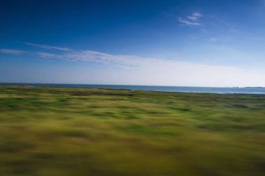 Kuzey Denizi kumsala önde gelen renkli yeşil çimen