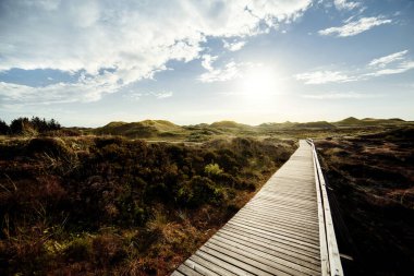 Terk edilmiş ahşap kaldırım kıyılardaki kum tepeciklerinin arasından parlayan bulutlu bir günbatımına doğru gidiyor..