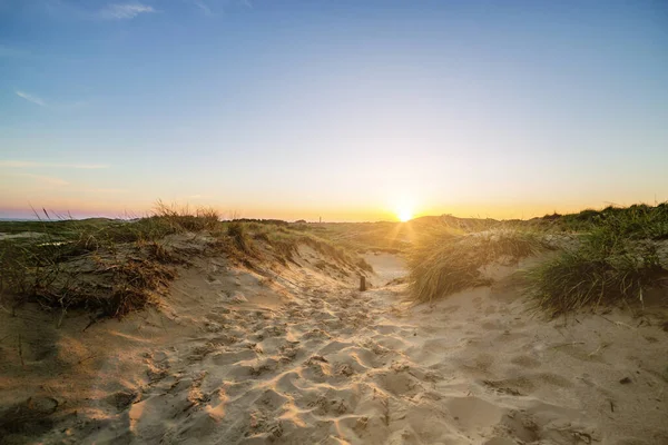 Evening sun over the dunes of Amrum — Stock Photo, Image