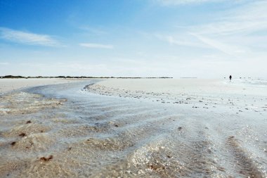 Sahilin gelgit bölgesinde dalgalanan sığ su