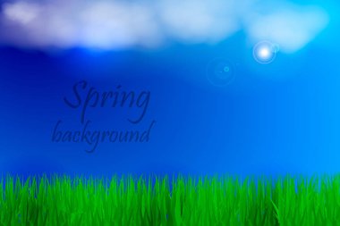 Bahar yeşil çim ve mavi gökyüzü arka plan