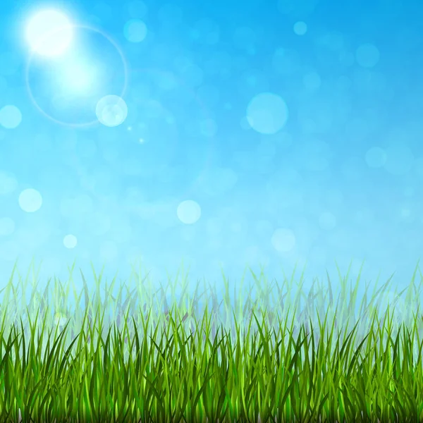 Bright Spring Background Green Grass Vector Illustration — Stock Vector