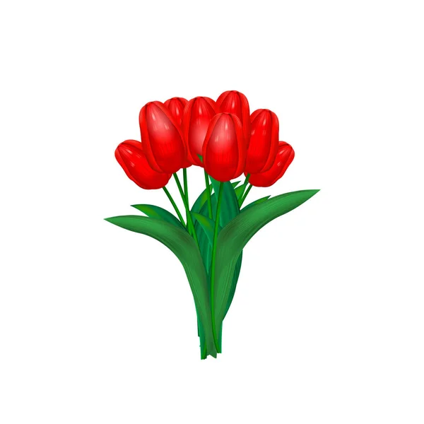Strauß Roter Tulpen Auf Weißem Hintergrund Vektorillustration — Stockvektor