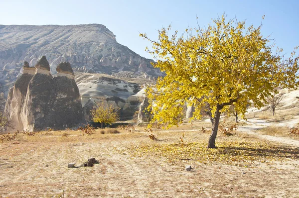 Pasabag — Stok fotoğraf