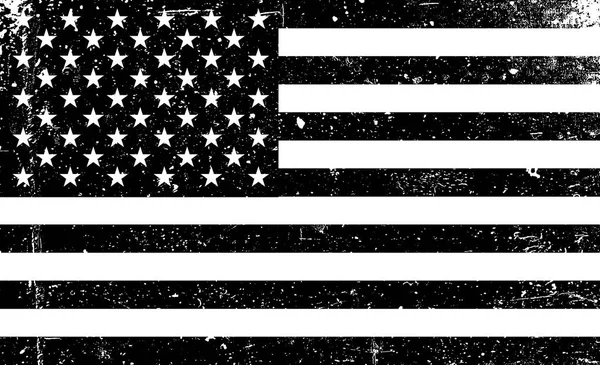 Flagge der Vereinigten Staaten von Amerika — Stockvektor