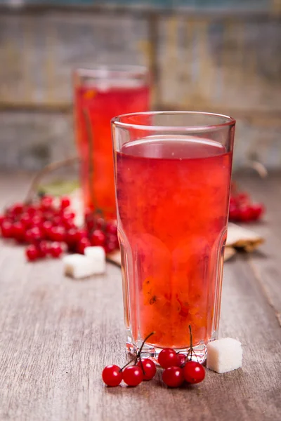 Fresh hot viburnum tea — Stock Photo, Image