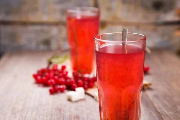 Fresh hot viburnum tea — Stock Photo, Image