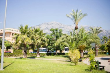 Yaz tropikal park