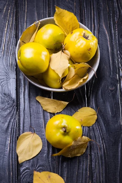 Kdoule je podzimní plody — Stock fotografie