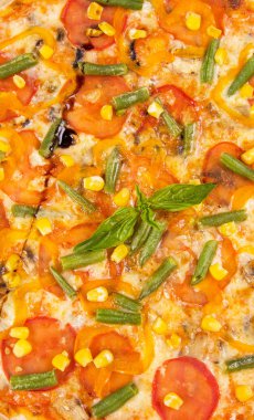 Pizza beyazda izole.