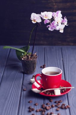 Orkide ile kahve
