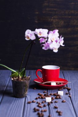 Orkide ile kahve
