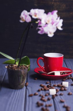 Orkide ile kahve