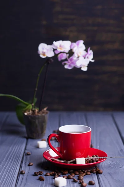 Coffee with orchid — Stock Photo, Image