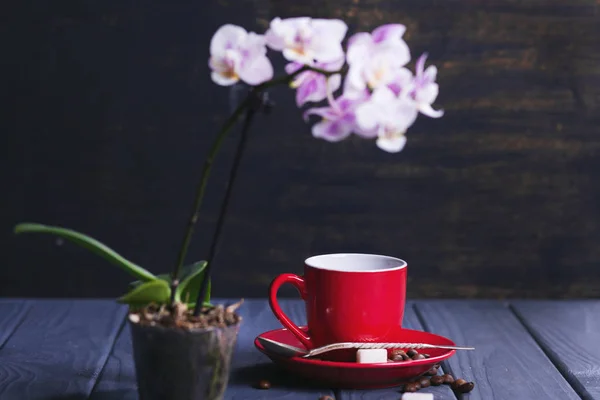 Kawa z orchidei — Zdjęcie stockowe
